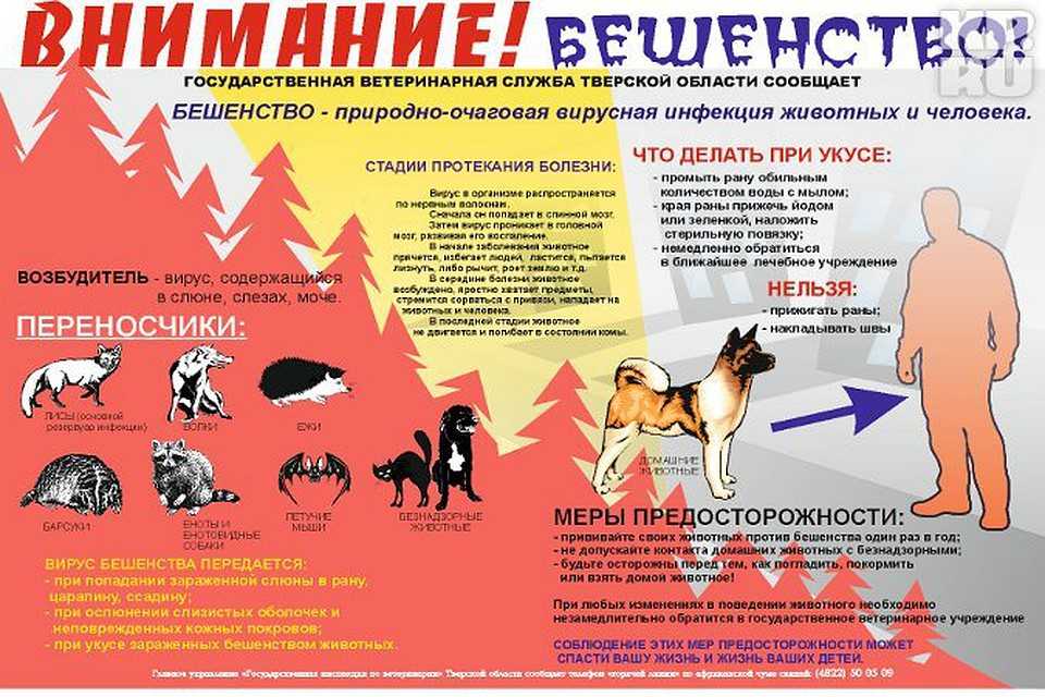 Эпизоотическая обстановка по бешенству.