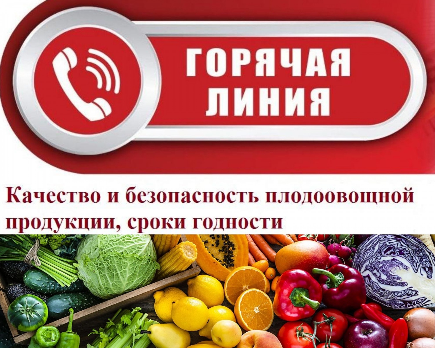 О проведении мероприятия в рамках работы горячей линии по качеству и безопасности плодоовощной продукции и срокам годности..