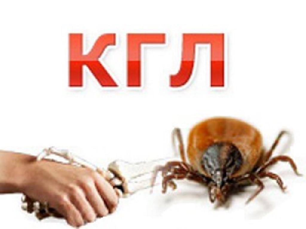 Крымская гемморогическая лихорадка.