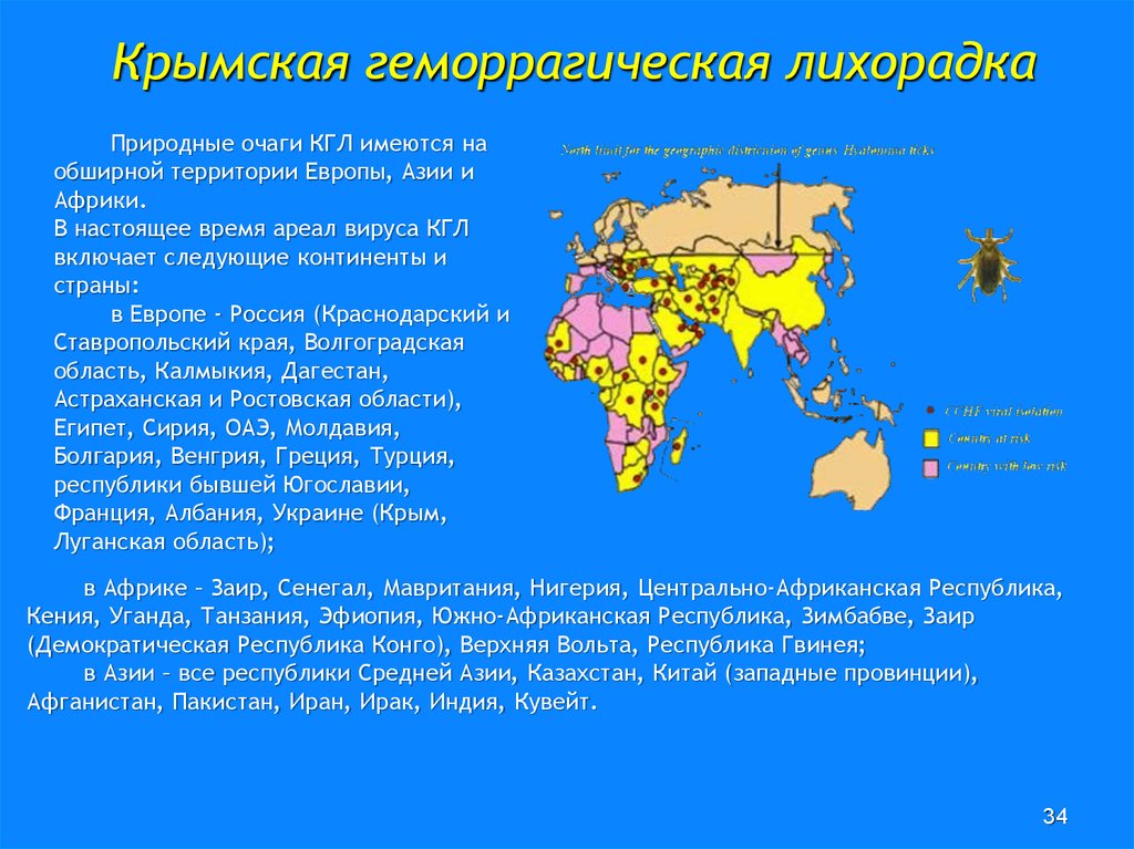 Укажите подпись к картинке.