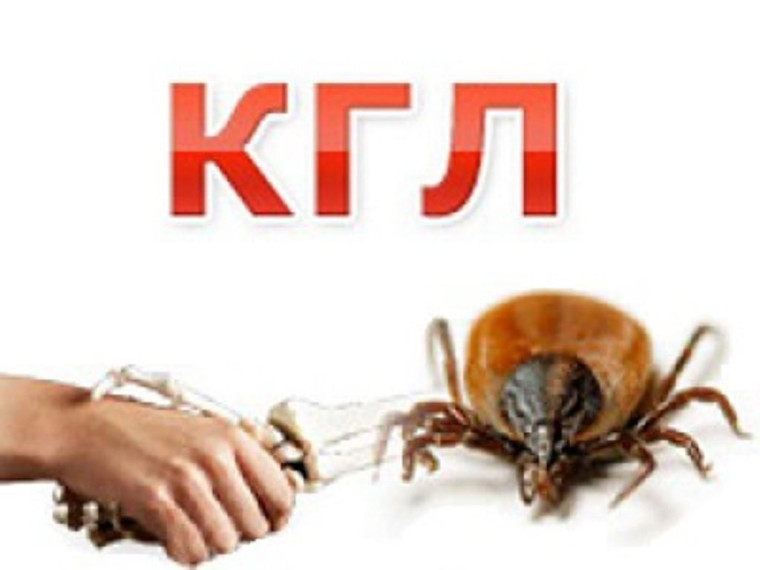 Что нужно знать о Крымской геморрагической лихорадке. Что нужно знать о Крымской геморрагической лихорадке.